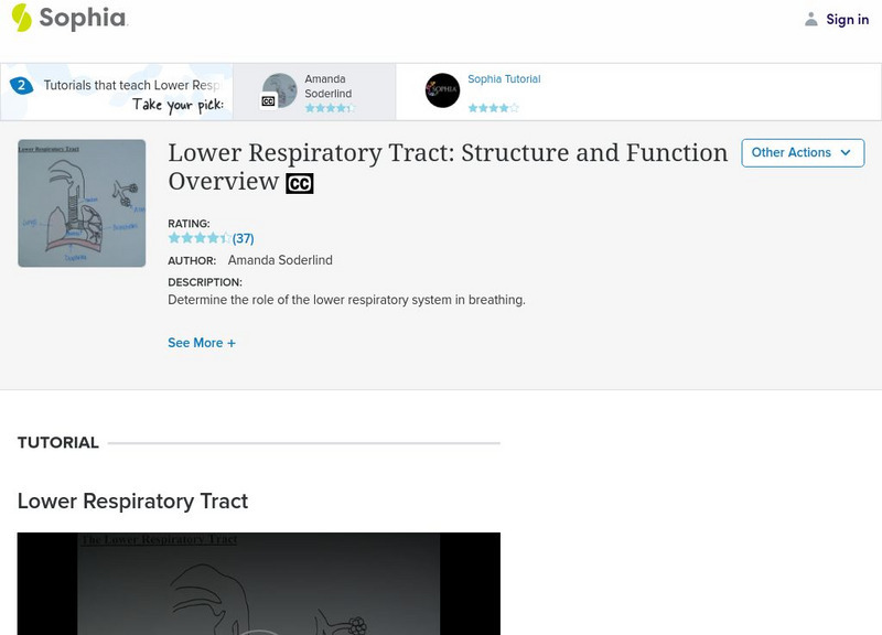 Sophia: Lower Respiratory Tract: Structure and Function Overview: Lesson 1 Instructional Video