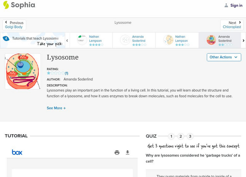 Sophia: Lysosome: Lesson 4 PPT