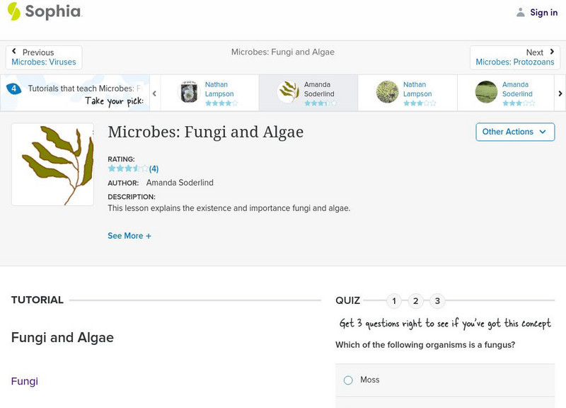 Sophia: Microbes: Fungi and Algae: Lesson 1 Unit Plan Sophia: Microbes: Fungi and Algae: Lesson 1 Unit Plan