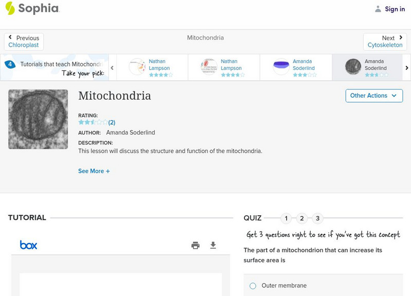 Sophia: Mitochondria: Lesson 4 PPT Sophia: Mitochondria: Lesson 4 PPT