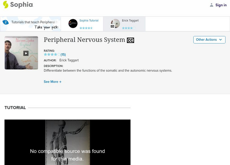 Sophia: Peripheral Nervous System Instructional Video Sophia: Peripheral Nervous System Instructional Video