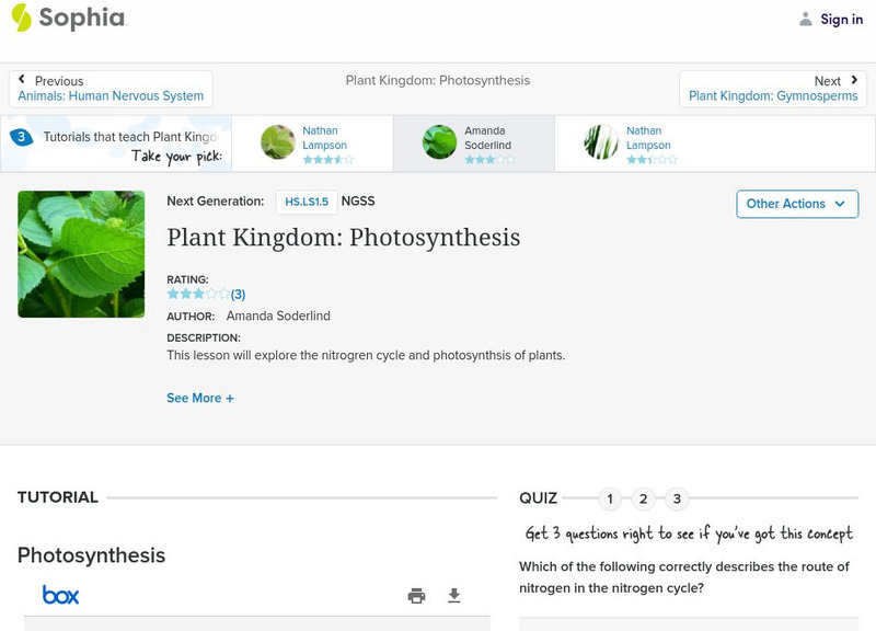 Sophia: Plant Kingdom: Photosynthesis: Lesson 2 PPT Sophia: Plant Kingdom: Photosynthesis: Lesson 2 PPT