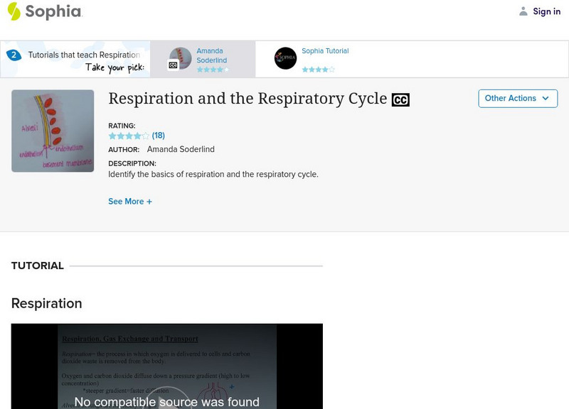 Sophia: Respiration and the Respiratory Cycle Instructional Video Sophia: Respiration and the Respiratory Cycle Instructional Video