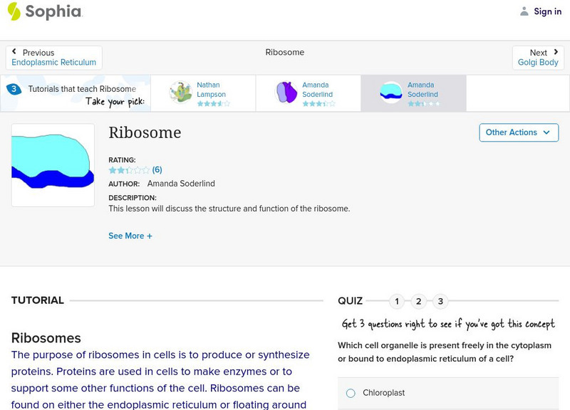 Sophia: Ribosome: Lesson 1 Unit Plan