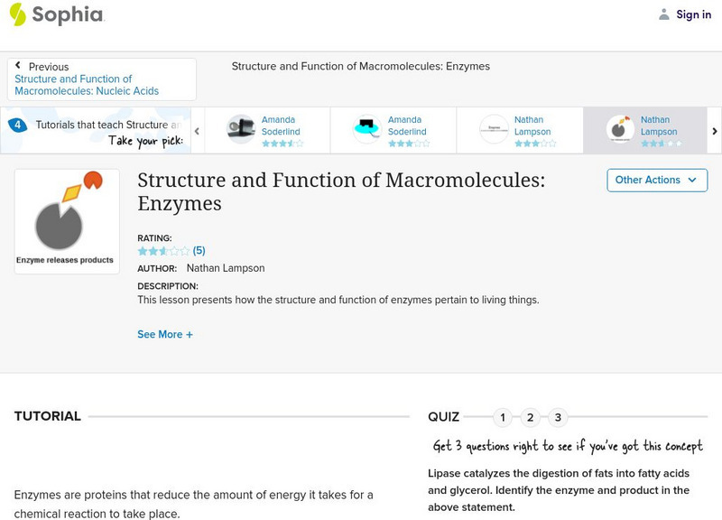 Sophia: Structure and Function of Macromolecules: Enzymes: Lesson 4 Unit Plan Sophia: Structure and Function of Macromolecules: Enzymes: Lesson 4 Unit Plan