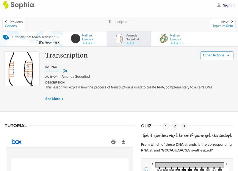 Sophia: Transcription: Lesson 2 PPT Sophia: Transcription: Lesson 2 PPT