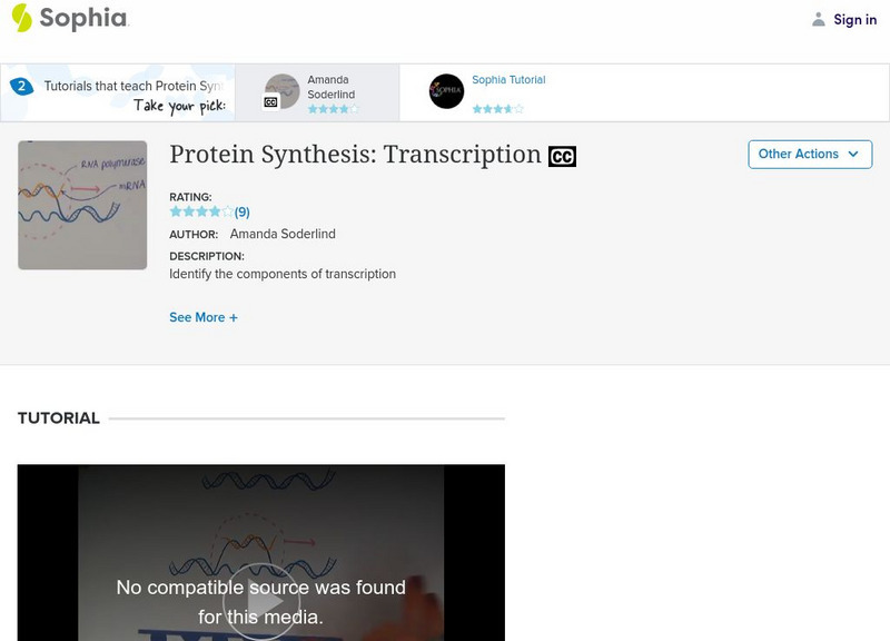 Sophia: Protein Synthesis: Transcription: Lesson 2 Instructional Video