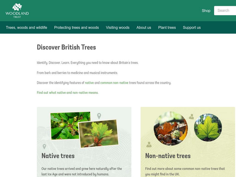 British Trees Website British Trees Website