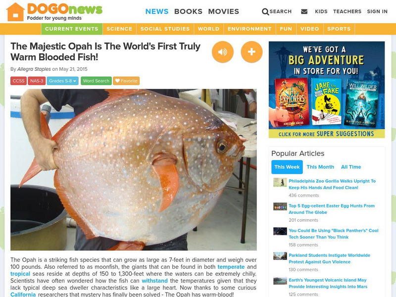 Dogo News: Majestic Opah Is World's First Warm Blooded Fish! Article