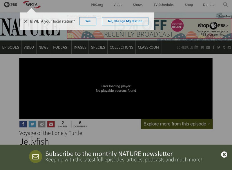 Pbs: Nature: Open Ocean Jellies Instructional Video Pbs: Nature: Open Ocean Jellies Instructional Video