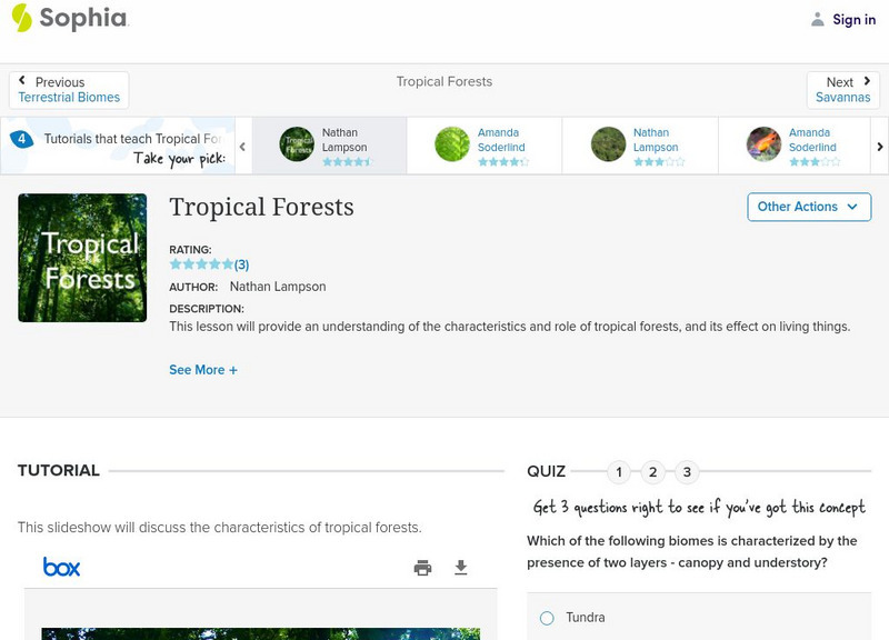 Sophia: Tropical Forests: Lesson 1 PPT Sophia: Tropical Forests: Lesson 1 PPT