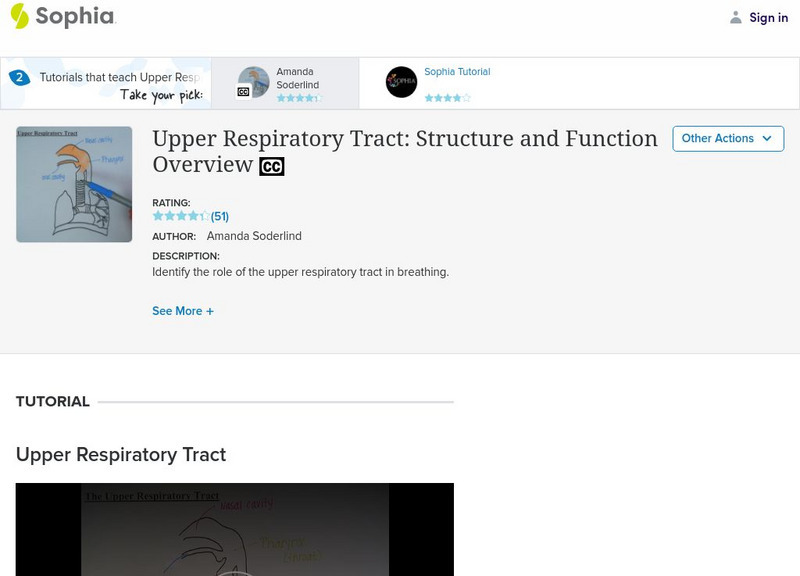 Sophia: Upper Respiratory Tract: Structure and Function Overview: Lesson 1 Instructional Video