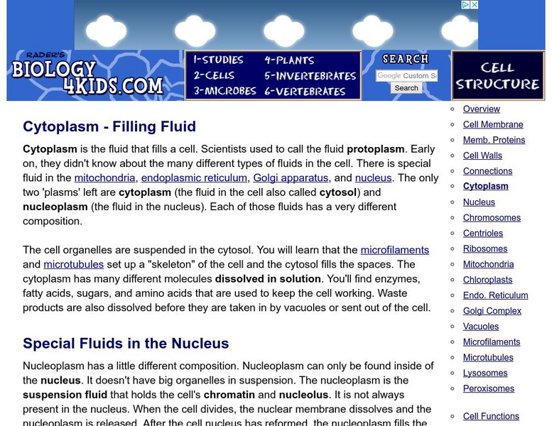 Biology4 Kids: Cytoplasm Filling Fluid Handout Biology4 Kids: Cytoplasm Filling Fluid Handout