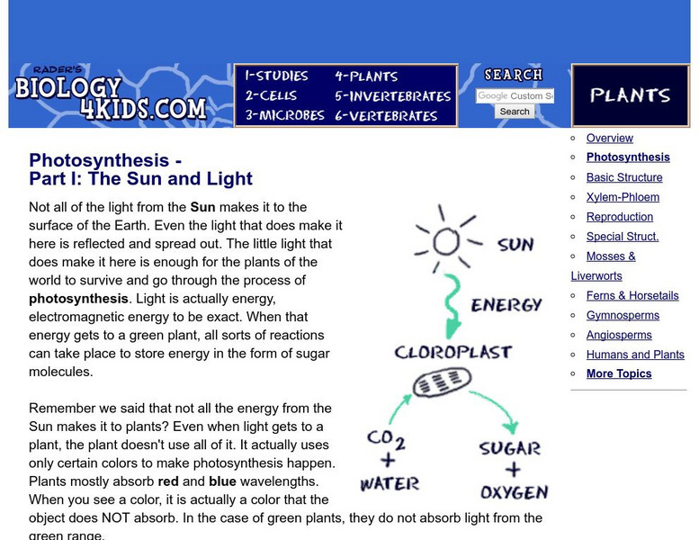 Biology4 Kids: Photosynthesis Part I: The Sun and Light Handout Biology4 Kids: Photosynthesis Part I: The Sun and Light Handout