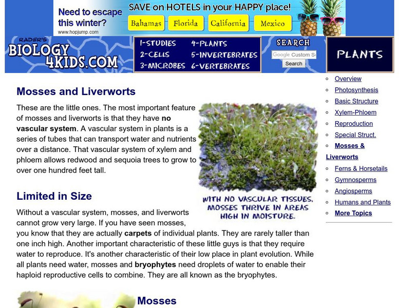 Biology4 Kids: Mosses and Liverworts Handout Biology4 Kids: Mosses and Liverworts Handout