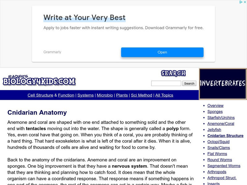 Biology4 Kids: Cnidarian Anatomy Handout Biology4 Kids: Cnidarian Anatomy Handout