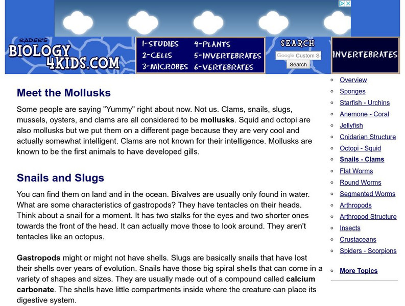 Biology4 Kids: Clams and Snails the Mollusks Handout Biology4 Kids: Clams and Snails the Mollusks Handout