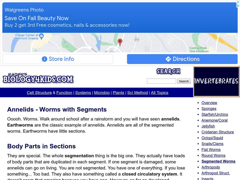 Biology4 Kids: Annelids Worms With Segments Website Biology4 Kids: Annelids Worms With Segments Website