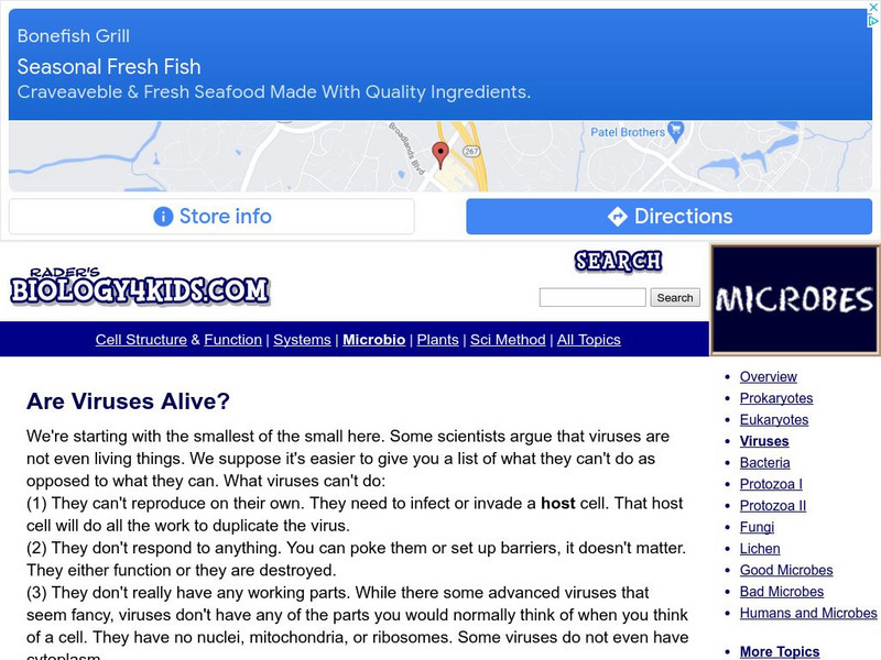 Biology4 Kids: Are Viruses Even Alive? Website Biology4 Kids: Are Viruses Even Alive? Website