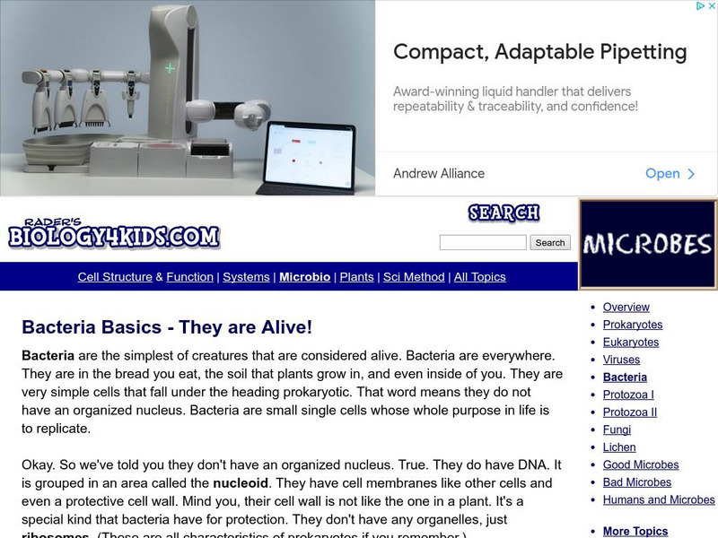 Biology4 Kids: Bacteria Basics They Are Alive Website Biology4 Kids: Bacteria Basics They Are Alive Website