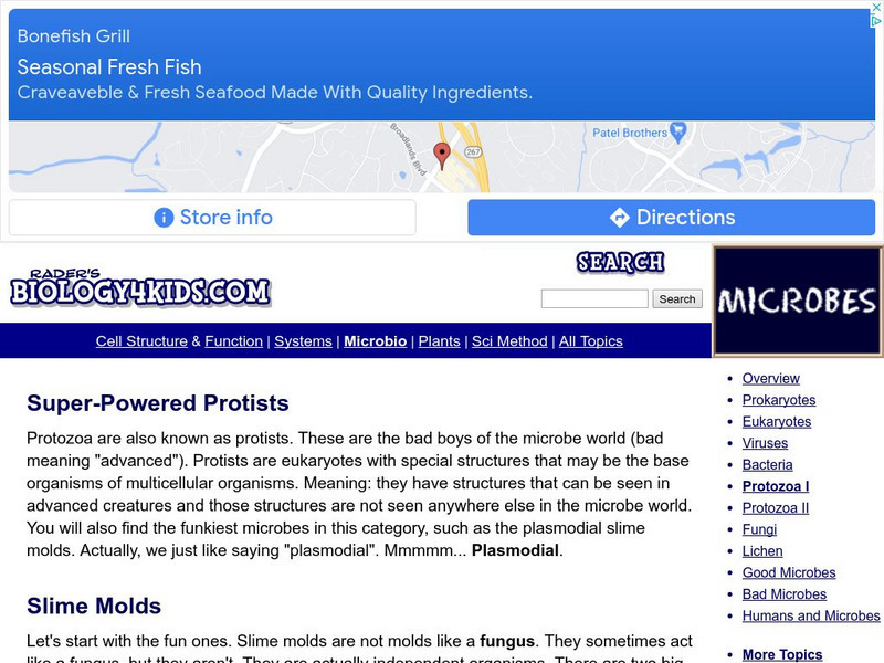 Biology4 Kids: Super Powered Protists Website Biology4 Kids: Super Powered Protists Website