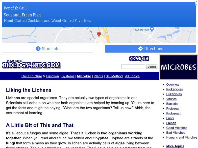 Biology4 Kids: We're Likin' the Lichen Website Biology4 Kids: We're Likin' the Lichen Website
