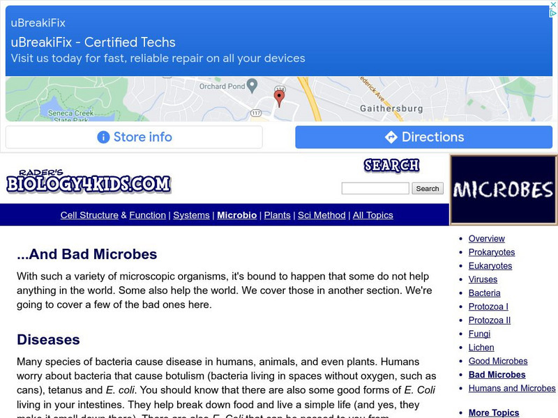 Biology4 Kids: And Bad Microbes Website Biology4 Kids: And Bad Microbes Website