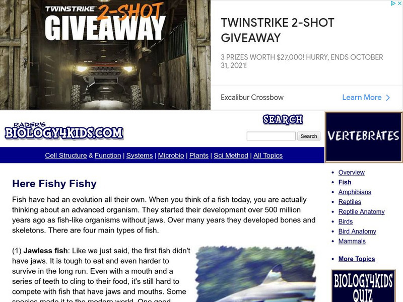 Biology4 Kids: Here Fishy Fishy Website Biology4 Kids: Here Fishy Fishy Website