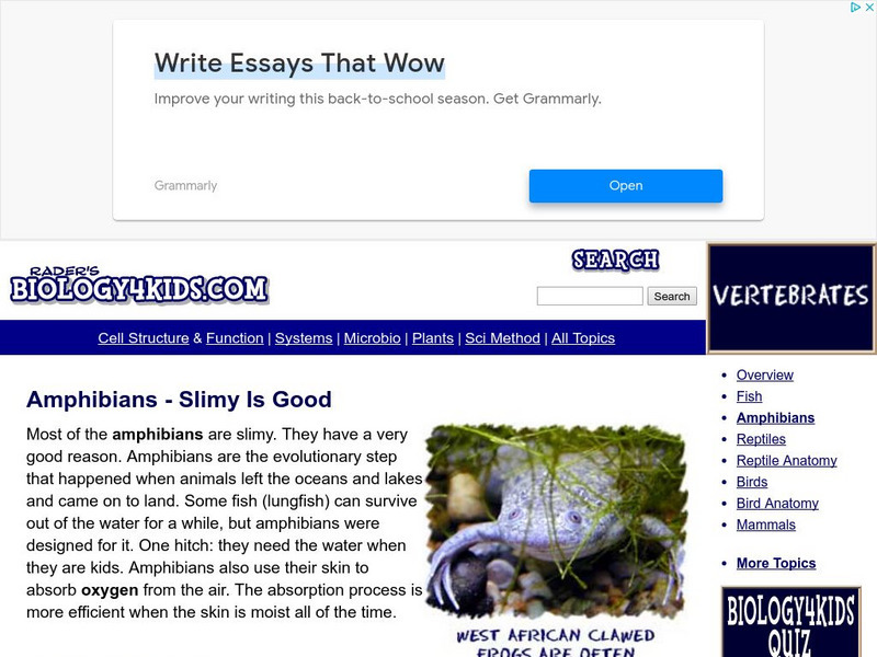 Biology4 Kids: Amphibians Slimy Is Good Website Biology4 Kids: Amphibians Slimy Is Good Website