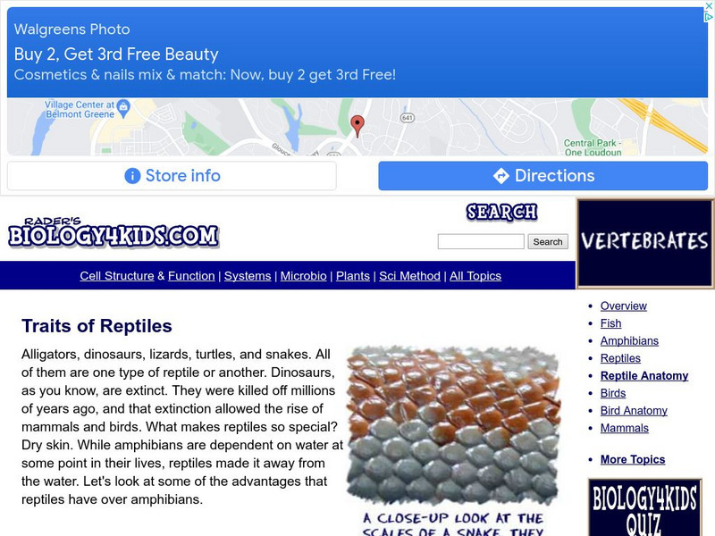 Biology4 Kids: Traits of Reptiles Website Biology4 Kids: Traits of Reptiles Website
