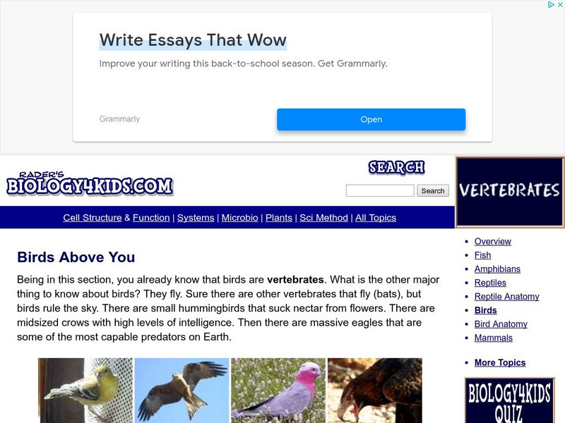 Biology4 Kids: Birds Above You Website Biology4 Kids: Birds Above You Website