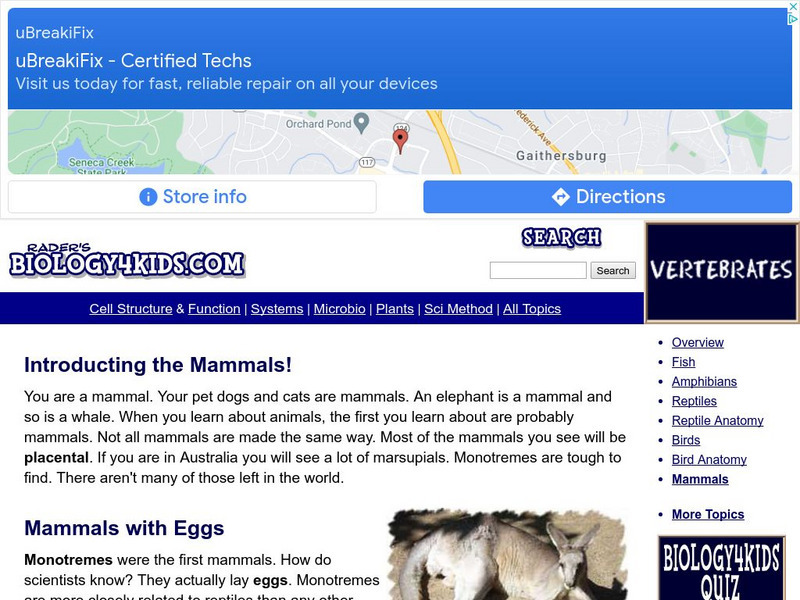 Biology4 Kids: Introducing the Mammals Website Biology4 Kids: Introducing the Mammals Website