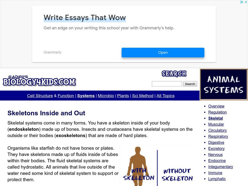 Biology4 Kids: Skeletons Inside and Out Website Biology4 Kids: Skeletons Inside and Out Website