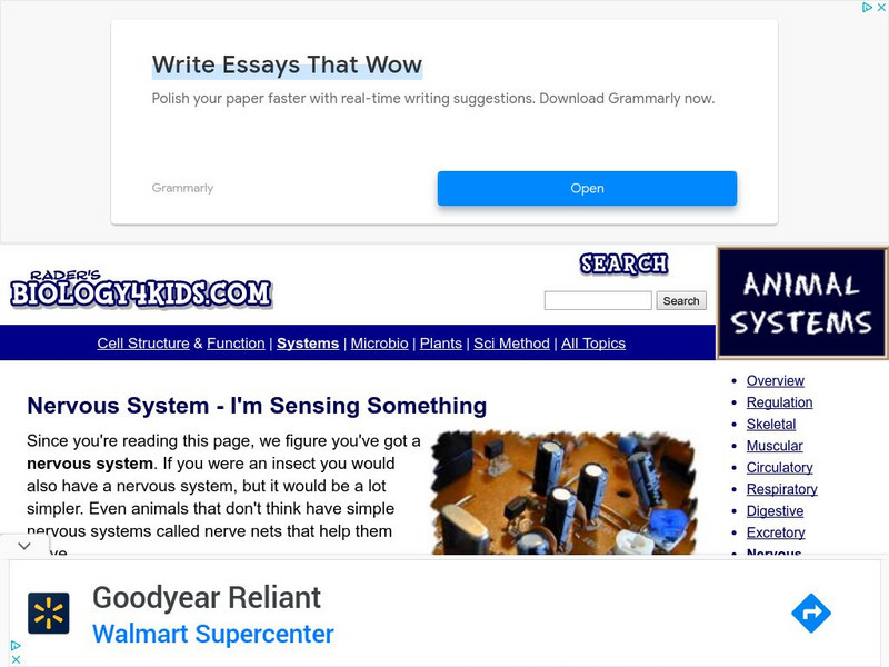 Biology4 Kids: Nervous System I'm Sensing Something Website Biology4 Kids: Nervous System I'm Sensing Something Website