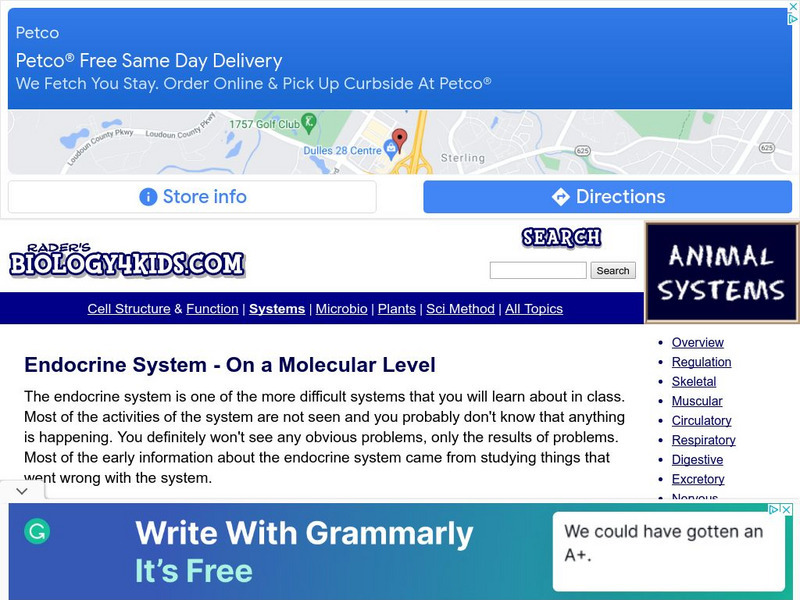 Biology4 Kids: Endocrine System on a Molecular Level Website Biology4 Kids: Endocrine System on a Molecular Level Website