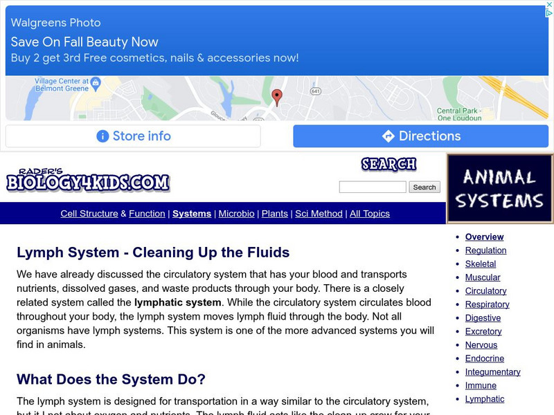 Biology4 Kids: Lymph System Cleaning Up the Fluids Website Biology4 Kids: Lymph System Cleaning Up the Fluids Website