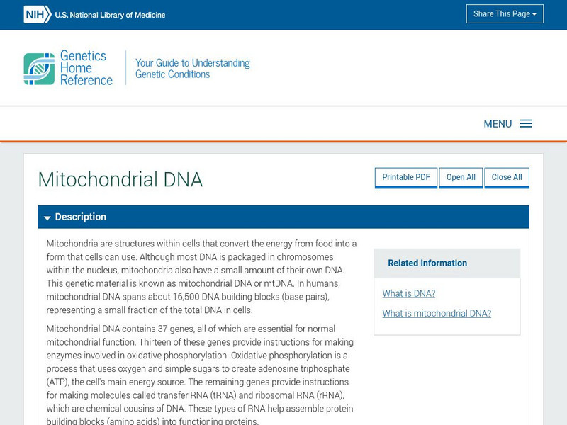 National Library of Medicine: Genetics Home Reference: Mitochondrial Dna Handout