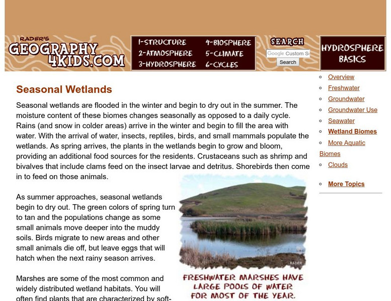 Geography4 kids.com: Seasonal Wetlands Website Geography4 kids.com: Seasonal Wetlands Website