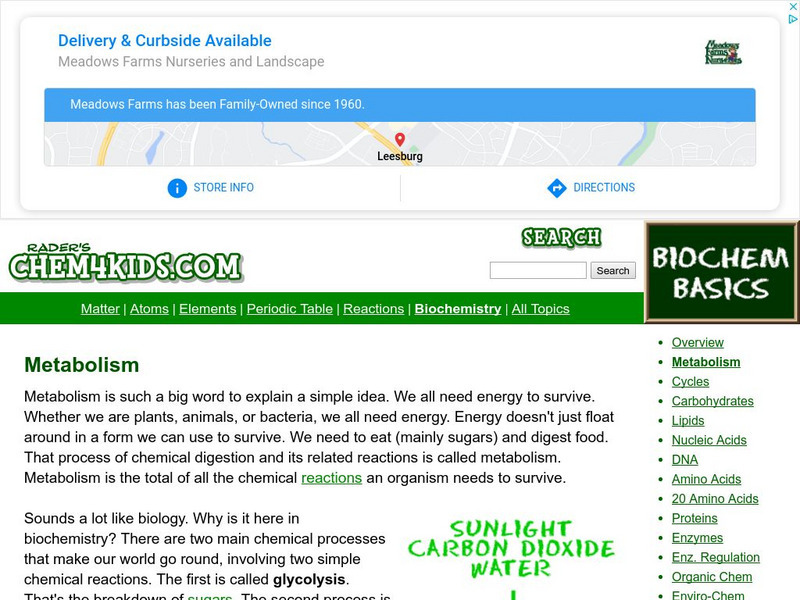 Chem4 Kids: Metabolism Website Chem4 Kids: Metabolism Website