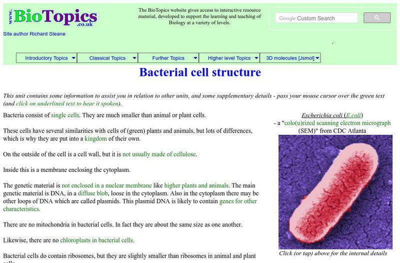 Bio Topics: Bacterial Cell Structure Handout