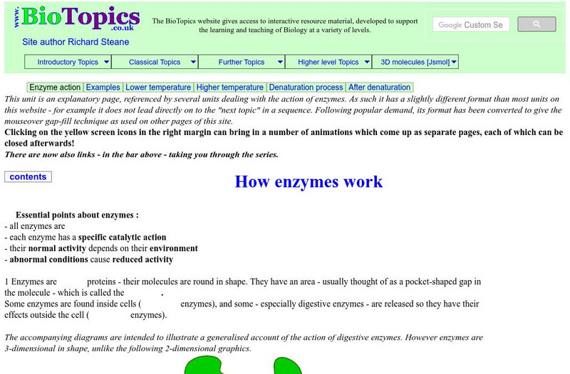 Bio Topics: How Enzymes Work Interactive Bio Topics: How Enzymes Work Interactive