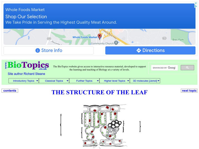 Bio Topics: The Structure of the Leaf Unknown Type