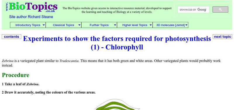Bio Topics: Chlorophyll Activity Bio Topics: Chlorophyll Activity
