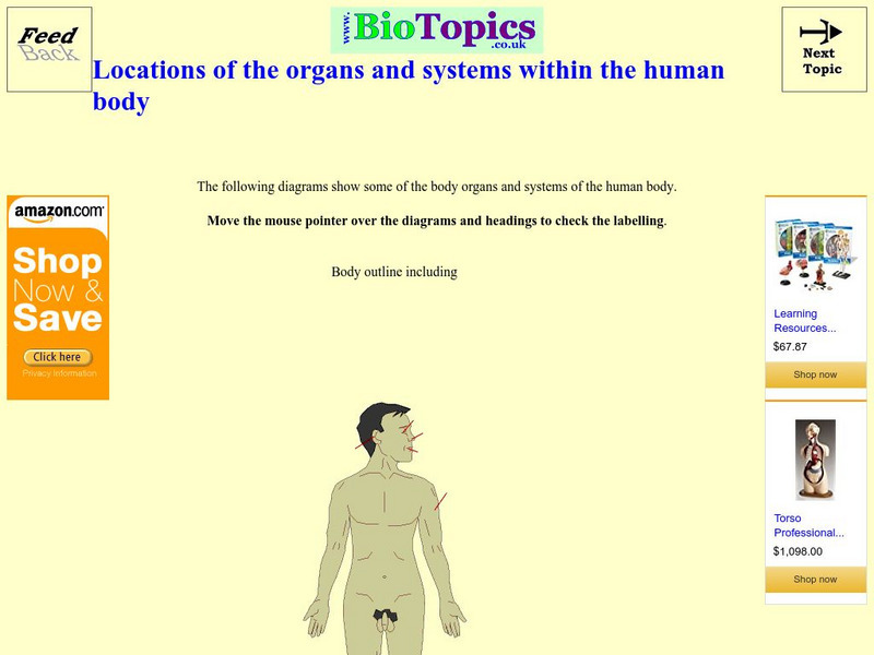Bio Topics: Locations of the Organs and Systems Within the Human Body Unknown Type Bio Topics: Locations of the Organs and Systems Within the Human Body Unknown Type