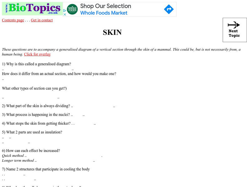 Bio Topics: Skin Unknown Type Bio Topics: Skin Unknown Type