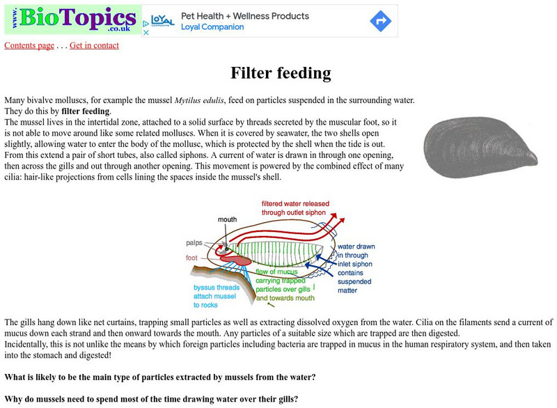 Bio Topics: Filter Feeding Unknown Type