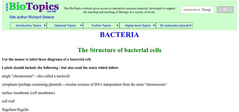 Bio Topics: Bacteria Unknown Type