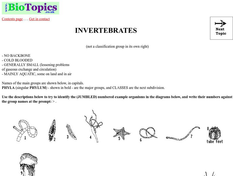 Bio Topics: Invertebrates Unknown Type Bio Topics: Invertebrates Unknown Type