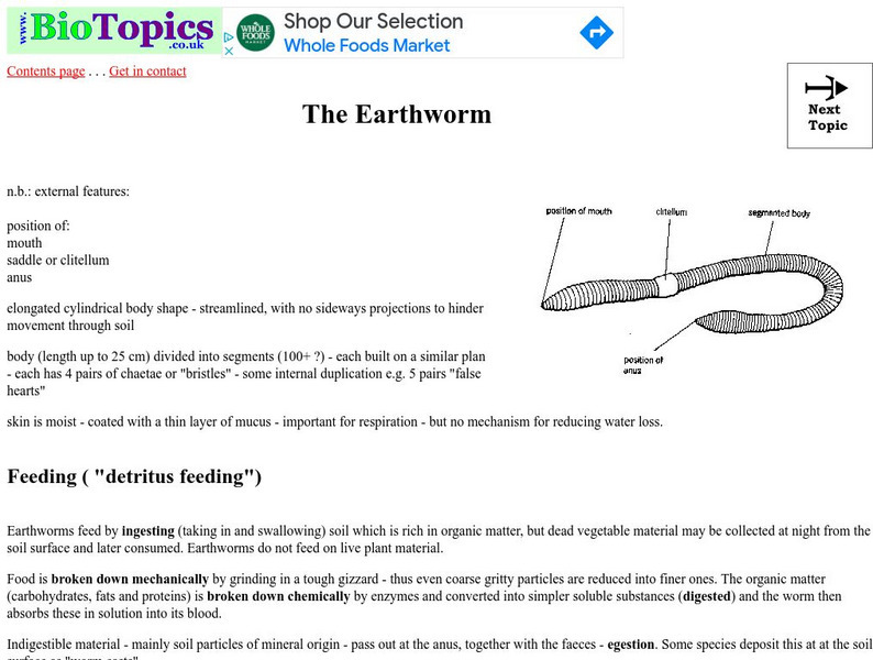 Bio Topics: The Earthworm Article