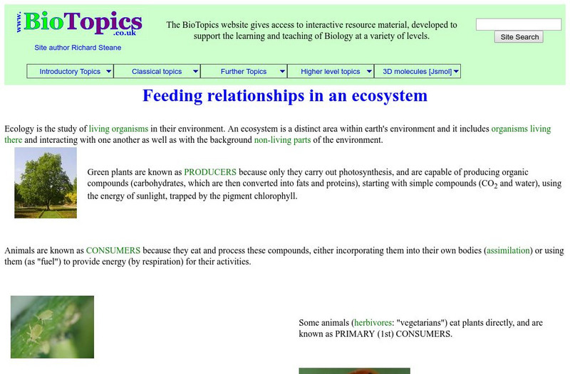 Bio Topics: Feeding Relationships in an Ecosystem Handout Bio Topics: Feeding Relationships in an Ecosystem Handout